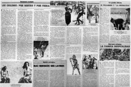 Los chilenos, por dentro y por fuera