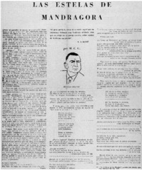 Las Estelas de Mandrágora [