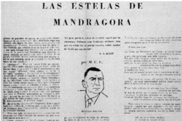 Las Estelas de Mandrágora [