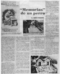 Memorias" de un perro