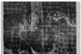 El hombre del sur y Daniel Belmar