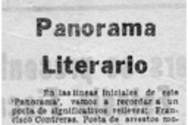 Panorama literario