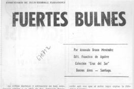 Fuertes Bulnes : [comentario]