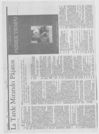 La tarde mirando pájaros.