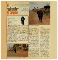 El "pairecito" de Arauco : [Entrevista]