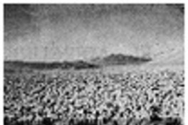 Alfredo Aranda, Antología atacameña