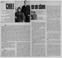 Chile en un clavo.