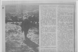 Delia Domínguez contracanta