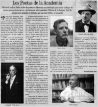 Los poetas de la academia
