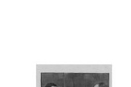 Levatarán escultura a Guzmán en Plaza Italia.