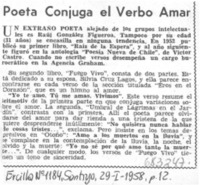 Poeta conjuga el verbo amar.