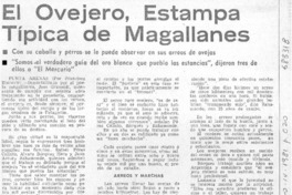 El ovejero, estampa típica de Magallanes