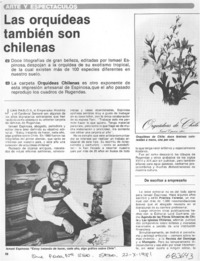 Las orquídeas también son chilenas.