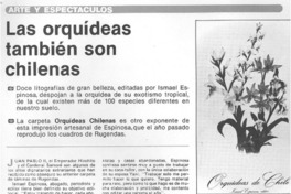Las orquídeas también son chilenas.