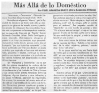 Más allá de lo doméstico