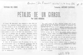 Pétalos de un girasol