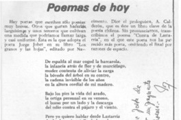 Poemas de hoy.