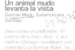 Un Animal mudo levanta la vista