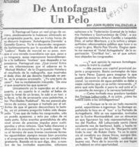 De Antofagasta un pelo