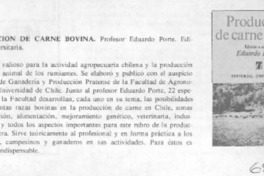 Producción de carne bovina.