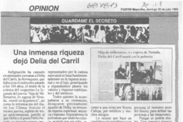 Una inmensa riqueza dejó Delia del Carril.