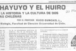 El Cochayuyo y el huiro.