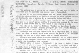 Los pies en la tierra