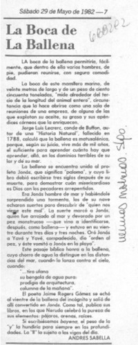 La boca de la ballena