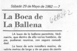 La boca de la ballena