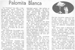 Palomita blanca