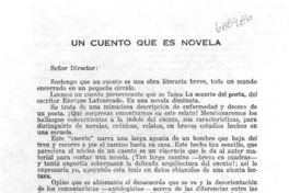 Un cuento que es novela