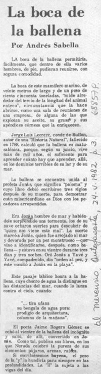 La boca de la ballena