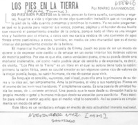 Los pies en la tierra