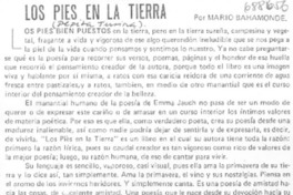 Los pies en la tierra