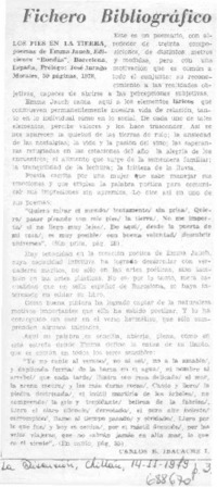 Los pies en la tierra