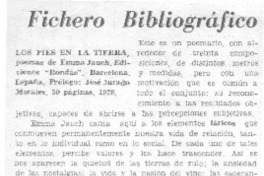 Los pies en la tierra