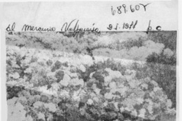 Consejos para formar el jardín hogareño.