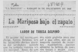 La Mariposa bajo el zapato