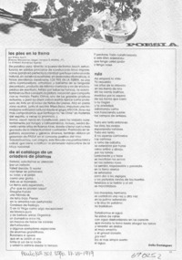 Los pies en la tierra