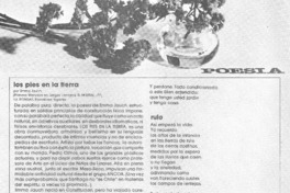 Los pies en la tierra