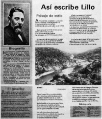 Así escribe Lillo.