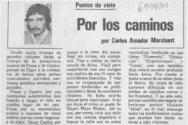 Alguien hablará por mi silencio.