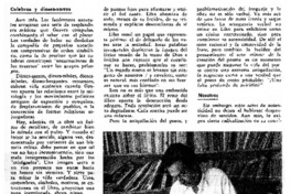 Instrucciones para destruirse