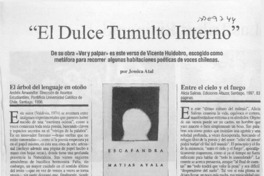 "El dulce tumulto interno"  [artículo] Jessica Atal.