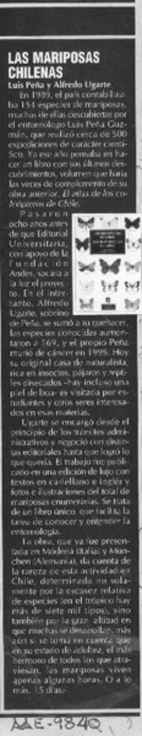 Las Mariposas de Chile  [artículo].