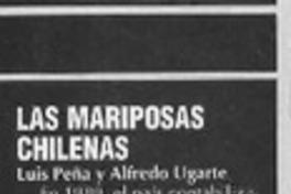 Las Mariposas de Chile  [artículo].