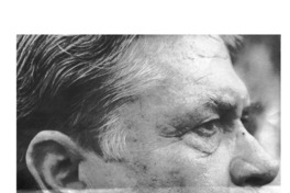 Poli Délano, con magnesio para la pena