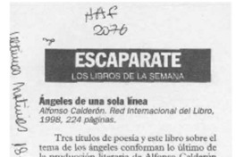 Angeles de una sola línea  [artículo].
