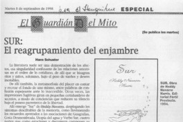 Sur, el reagrupamiento del enjambre  [artículo].