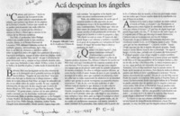 Acá despeinan los ángeles  [artículo] Joaquín Alliende Luco.